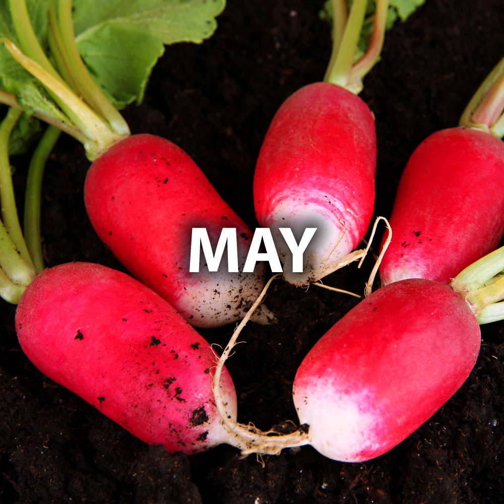 May