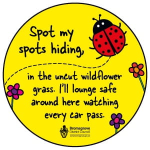 Biodiversity Ladybird BDC