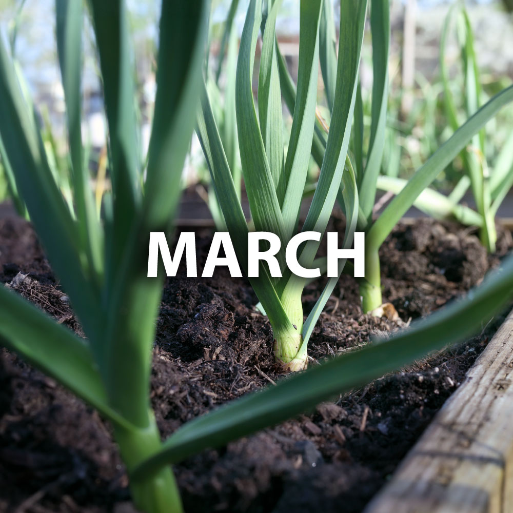 March