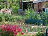allotment