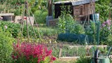 allotment
