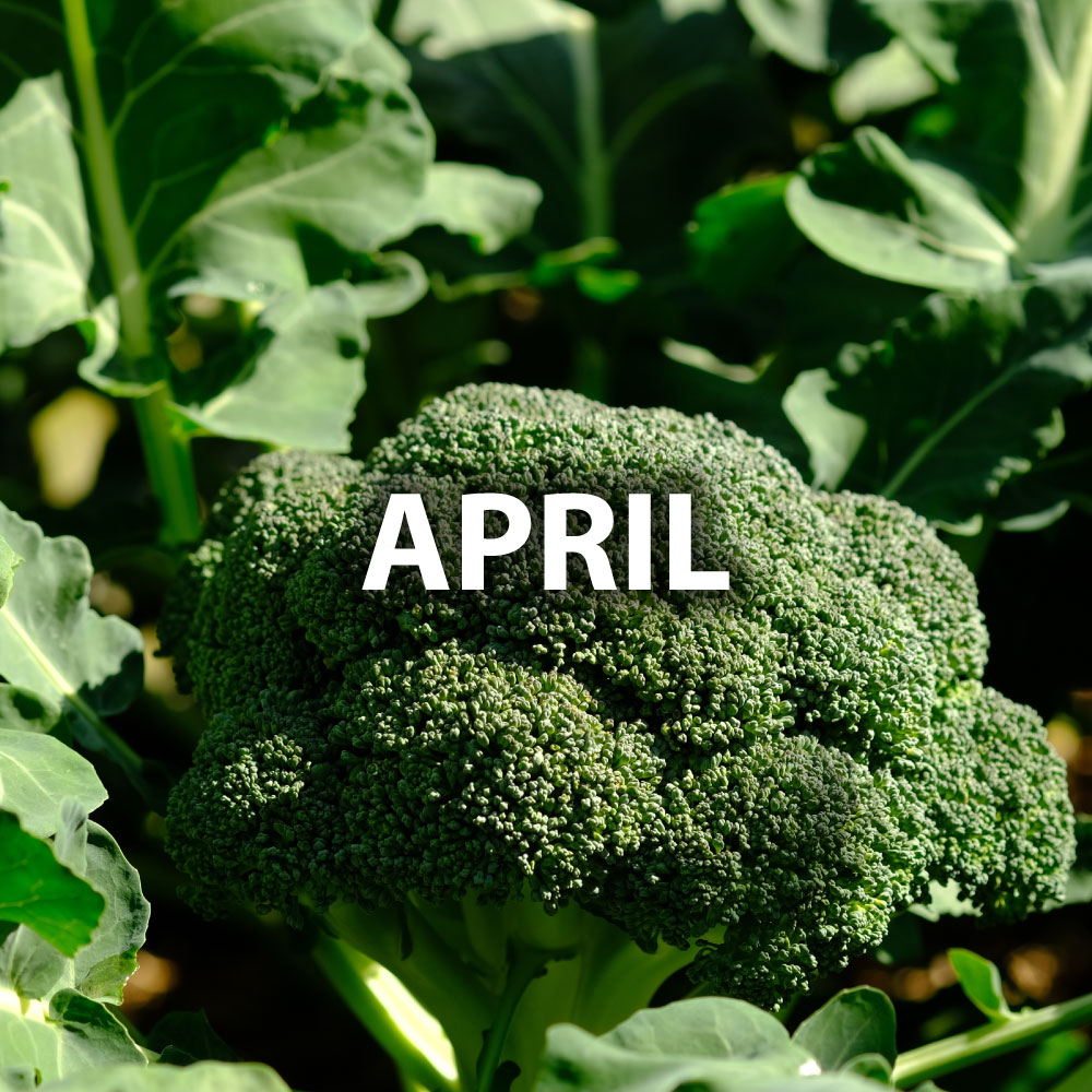 April