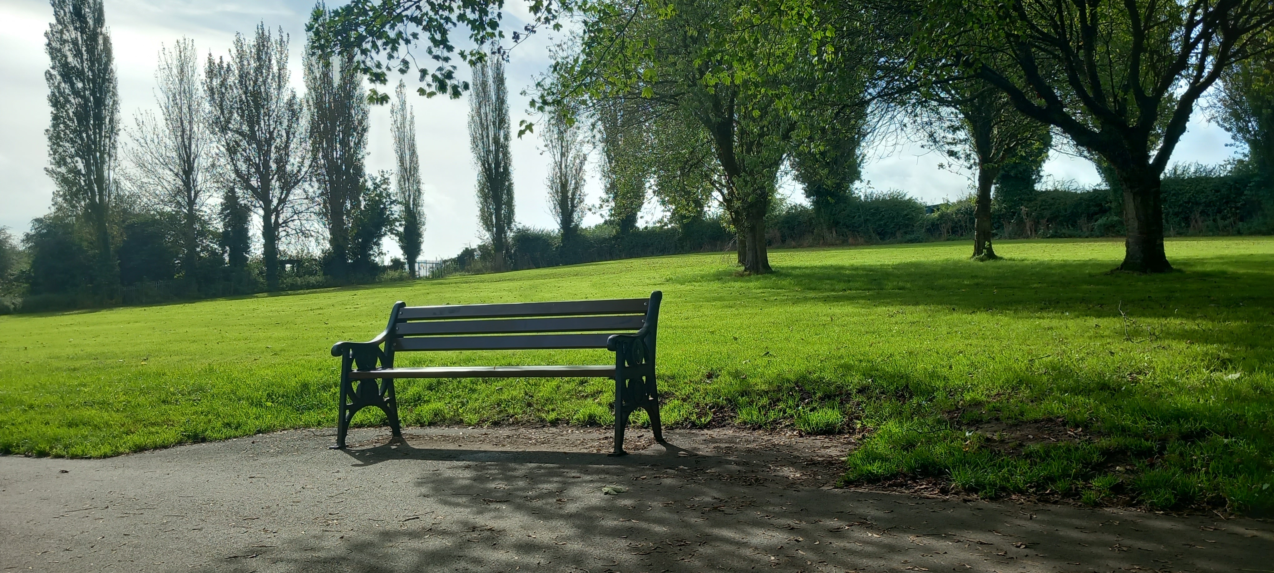 Sanders Park Memorial Bench