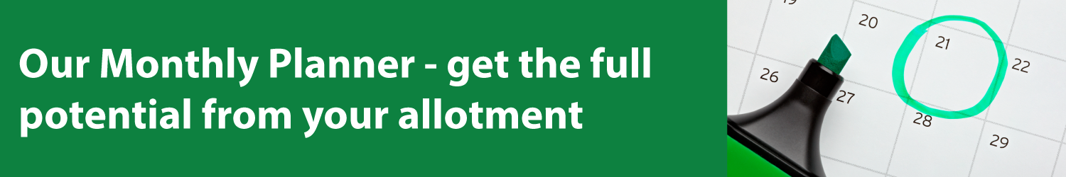 Planner Banner