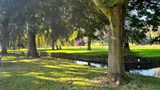 Sanders Park Trees and Open Space