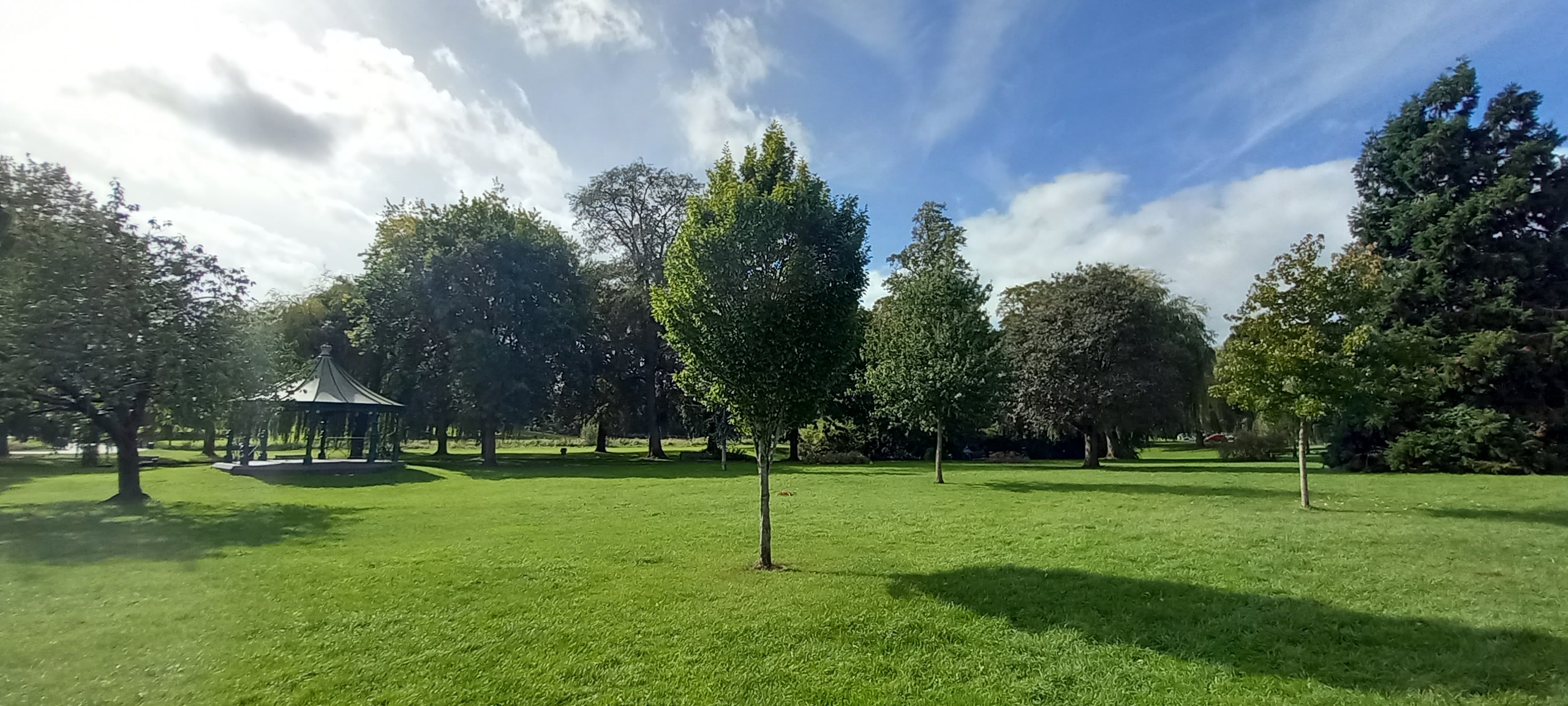 Sanders Park Memorial Tree