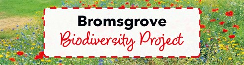 Bromsgrove Biodiversity Project