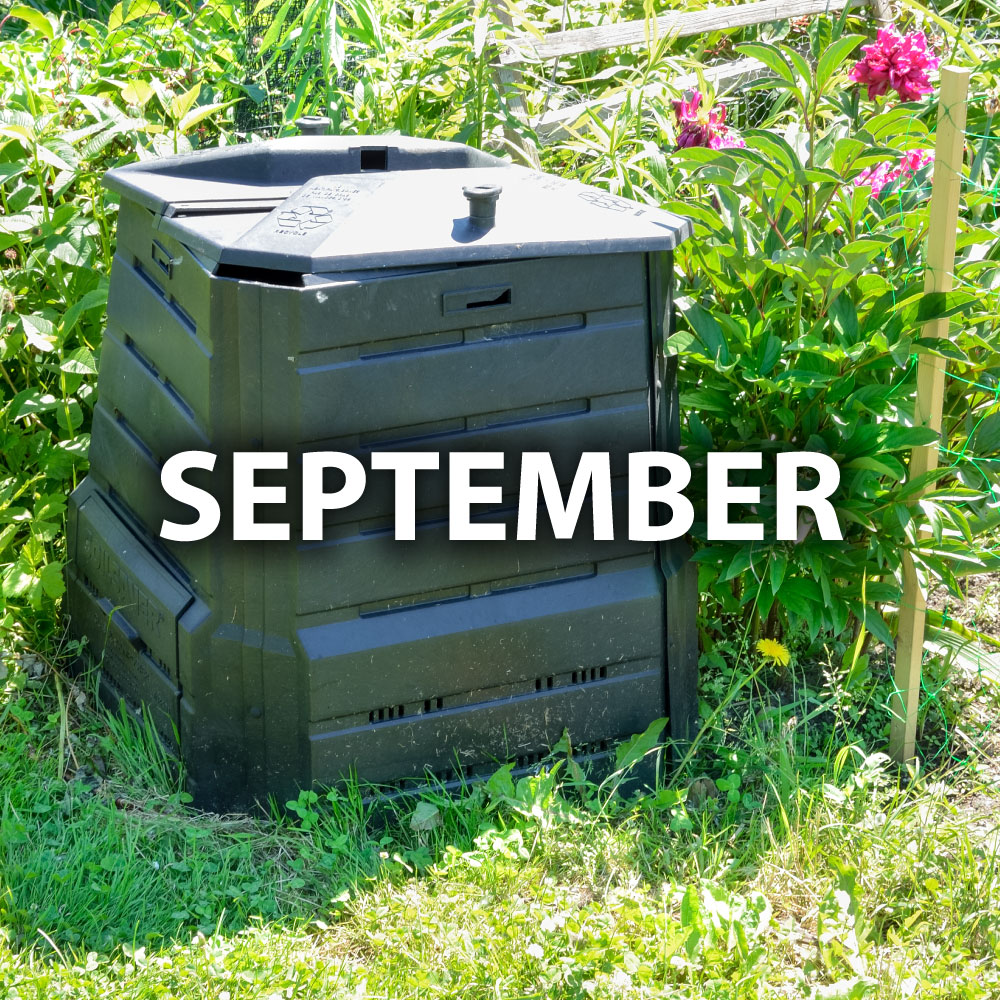 September