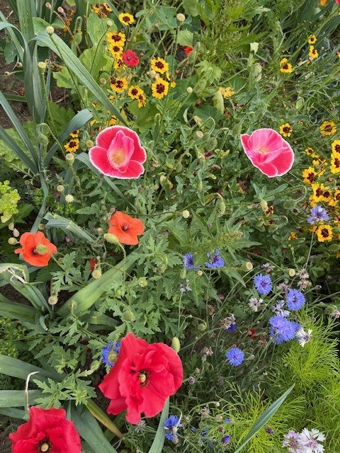 Flowers